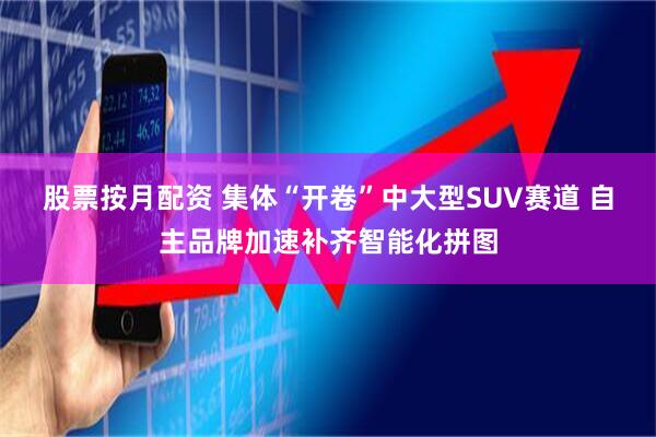 股票按月配资 集体“开卷”中大型SUV赛道 自主品牌加速补齐智能化拼图