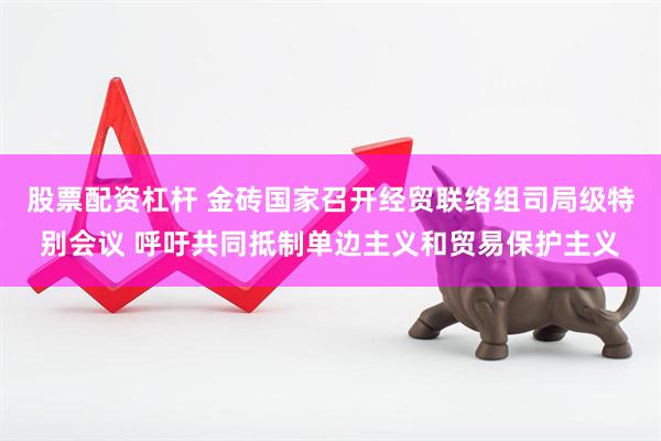 股票配资杠杆 金砖国家召开经贸联络组司局级特别会议 呼吁共同抵制单边主义和贸易保护主义