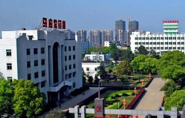 马应龙之忧：多元化发展乏力专业在线配资，“回流药风波”难平