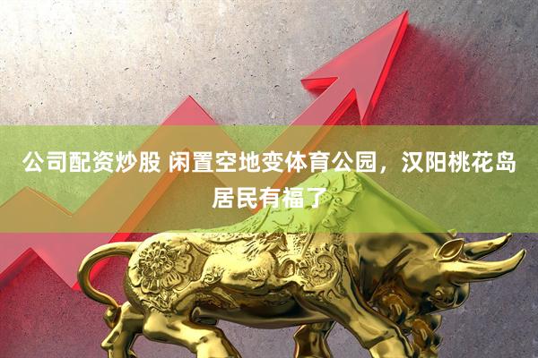 公司配资炒股 闲置空地变体育公园，汉阳桃花岛居民有福了
