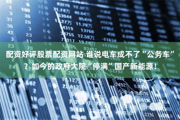 配资好评股票配资网站 谁说电车成不了“公务车”？如今的政府大院“停满”国产新能源！